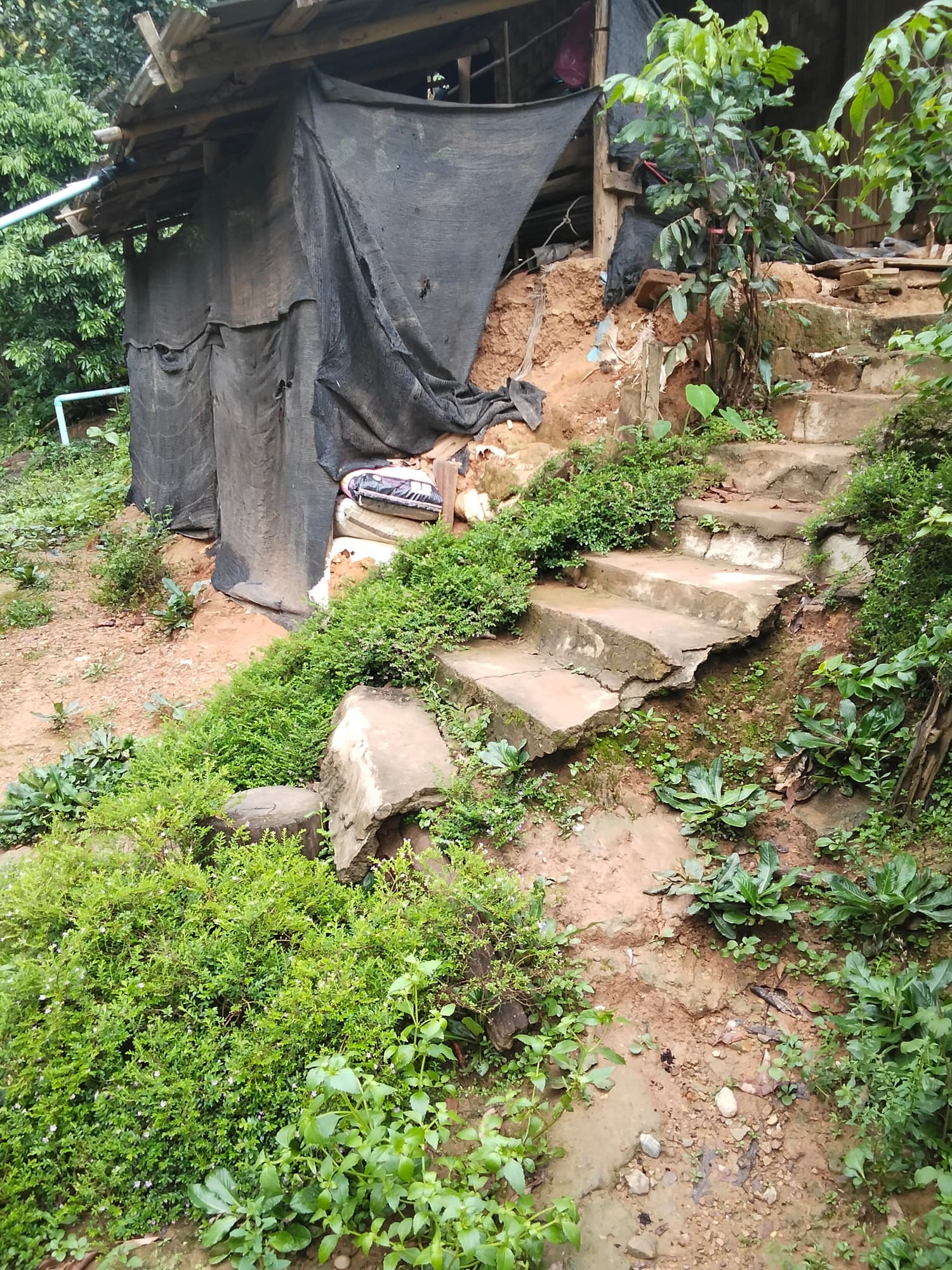 Stone steps climbing a green hillside between homes, a water pipe running alongside.